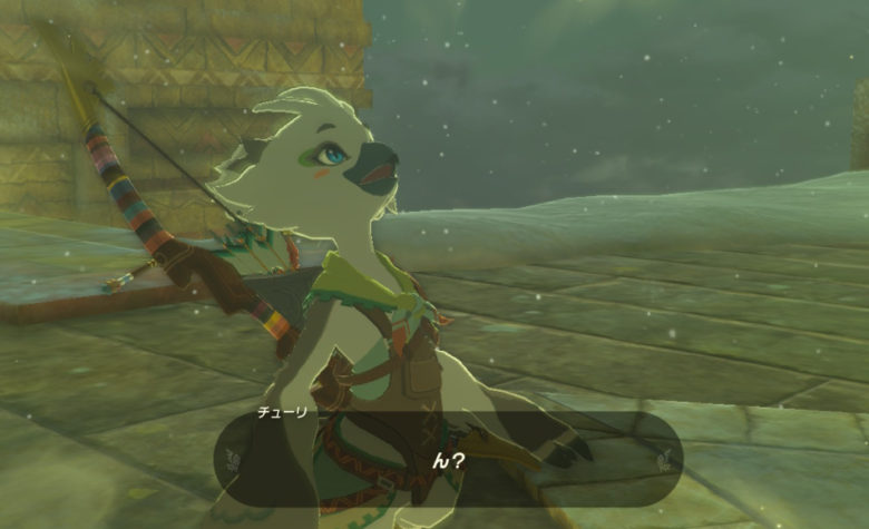 ゼルダの伝説 ティアーズオブザキングダム チューリ