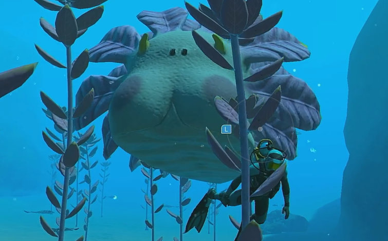 フォーエバーブルールミナス アマモツミ