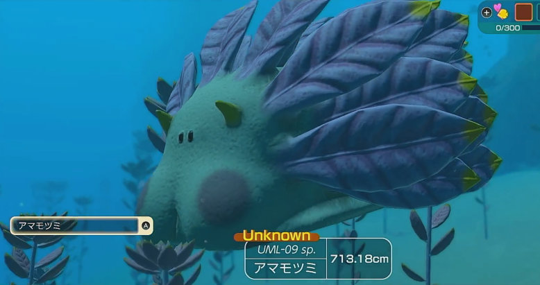 フォーエバーブルールミナス アマモツミ