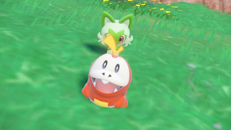 ポケモン ホゲータ ニャオハ